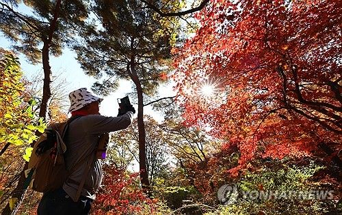 빨갛게 물든 북한산 가을 단풍