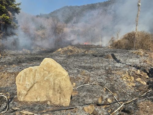 순천시 낙안면 야산 화재