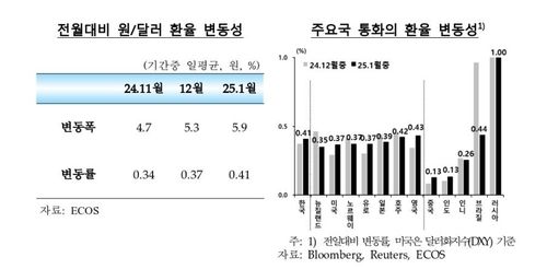 원/달러 환율 변동성 등
