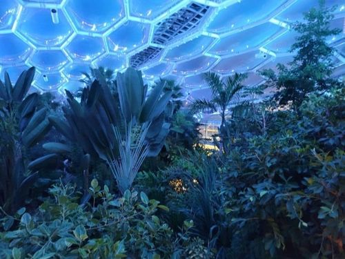 부천호수식물원 수피아