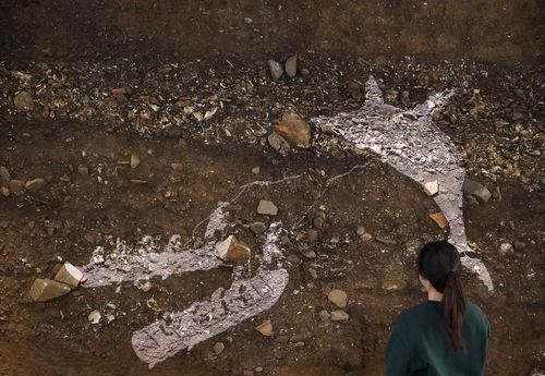 신석기실의 동삼동 패총 투사 영상