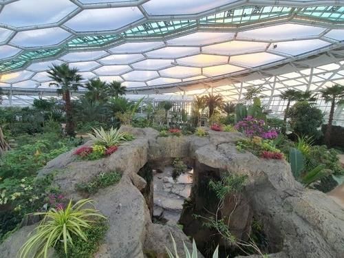 부천호수식물원 수피아