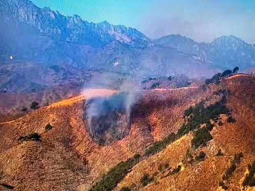 고성 민통선 지역 산불