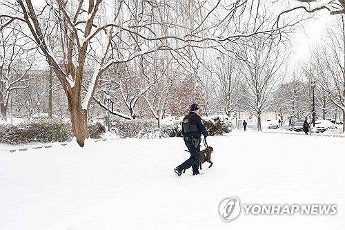 폭설 내린 워싱턴DC
