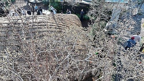 이제 곧 목련이 필 때