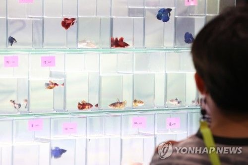 눈길 사로잡는 희귀 반려어