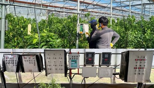 스마트 관수시스템 장비와 설치 농가 모습