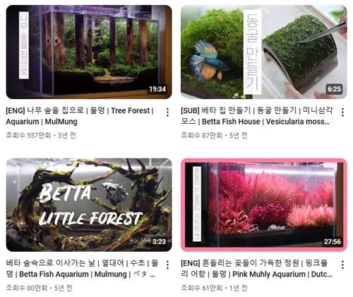 물생활 전문 유튜브 영상