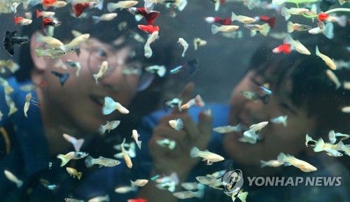 형형색색 물고기