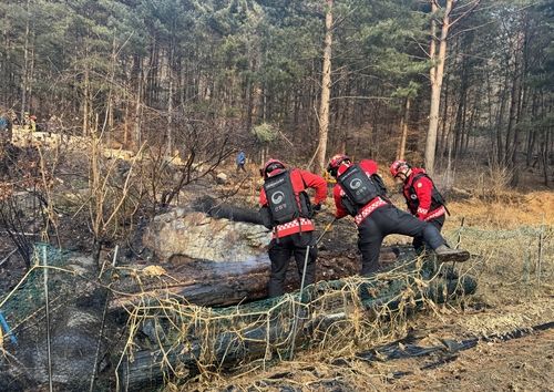 들불 진화하는 대원들