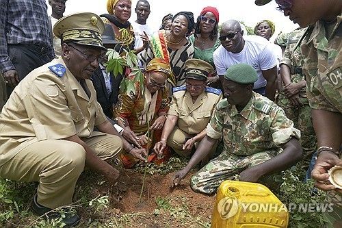 2024년 10월 말리 시카소 지역의 잠블라라 숲에서 나무 심는 사람들