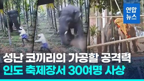 [영상] 무시무시한 코끼리의 공격력…인도 축제서 30여명 사상 - 2