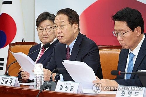 발언하는 권영세 비대위원장