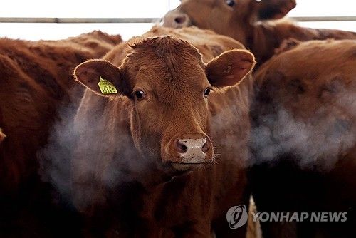 한파에 입김 내뿜는 소