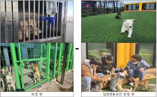 입양전용공간 '아우름동' 운영