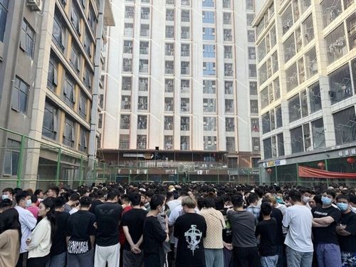 미얀마 소수민족 민병대 "사기조직 관계자 1만명 송환 준비"