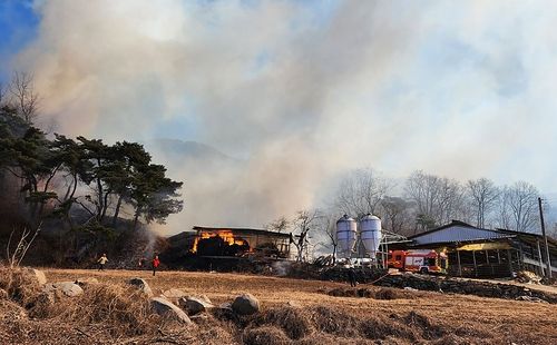 경북 성주군 월항면 인촌리 우사 화재
