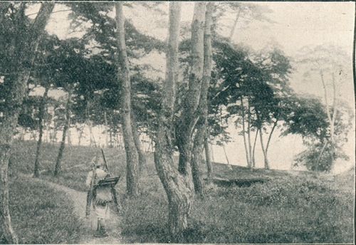 1910년대 효창숲 모습 [서울역사아카이브 제공. 재판매 및 DB 금지]