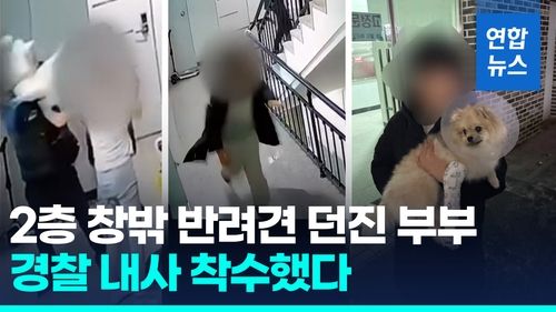 [영상] 아이 보든 말든 2층 창밖으로 반려견 던진 부부…경찰 내사 - 2