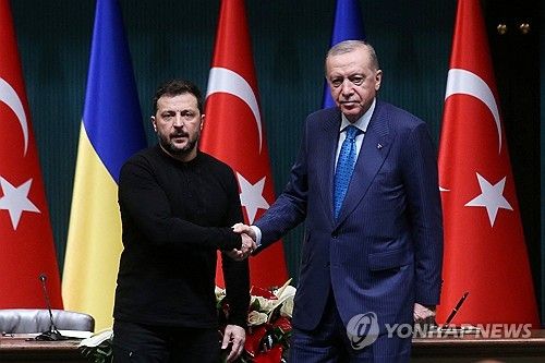 젤렌스키-에르도안 정상회담