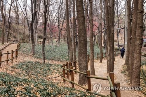 효창공원 산책로 [사진/백승렬 기자]