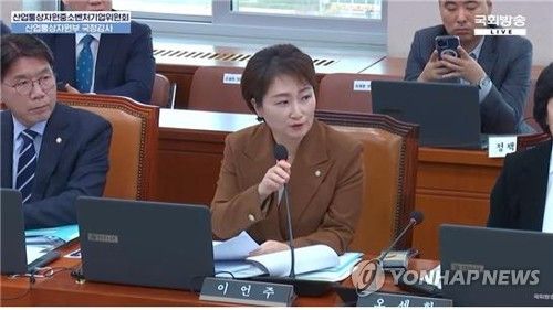 더불어민주당 이언주 의원