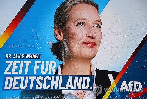 AfD 선거 포스터