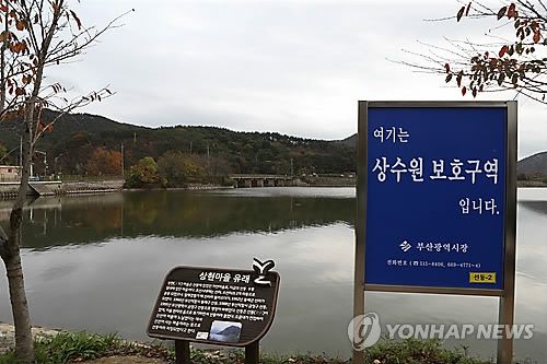 부산 회동 수원지