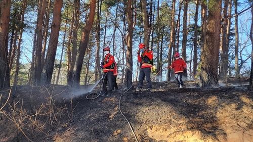 강원 고성군 현내면 산학리 산불