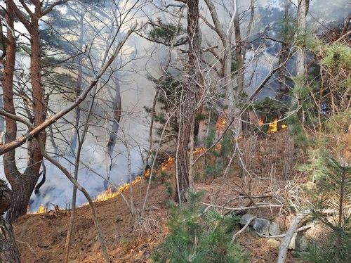 강원 고성군 죽왕면 화재