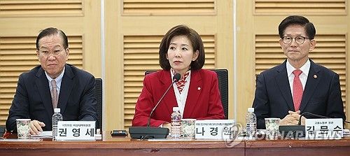 발언하는 나경원 의원