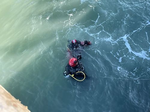 서천 마량진항에 추락한 차량 수색 중인 보령해경