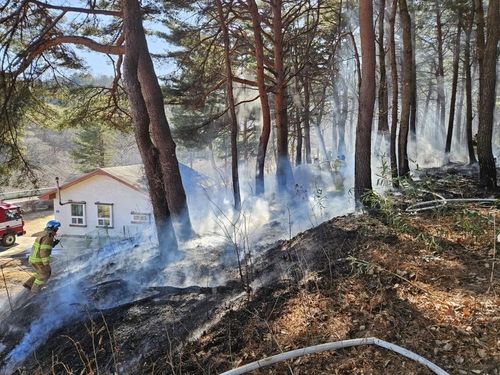 강원 고성군 현내면 산학리 산불