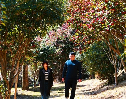 애기동백 핀 보성 초암정원