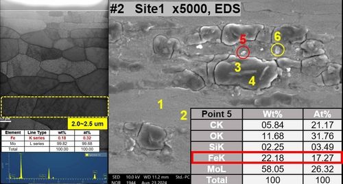 철 이온의 조사손상량 검증 