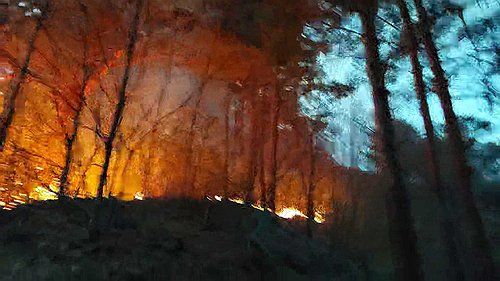 삼척 원덕에서 발생한 산불