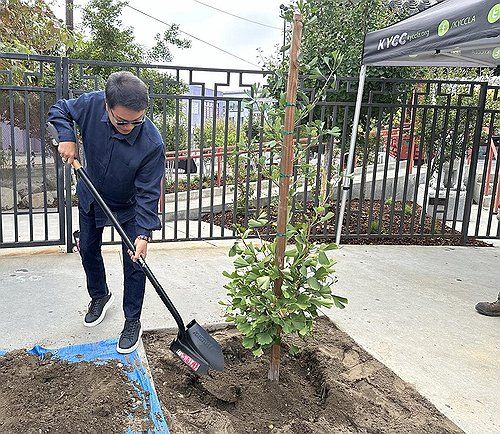 미 LA에서 나무 심는 이수만