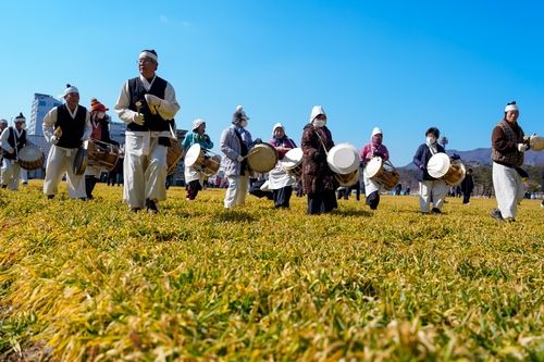 신설 기원 청보리밟기
