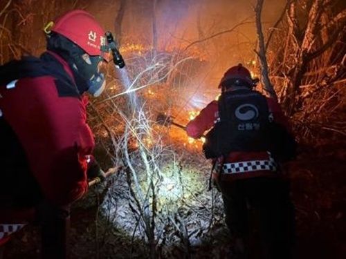 경남 양산시 원동면 산불 진화 장면