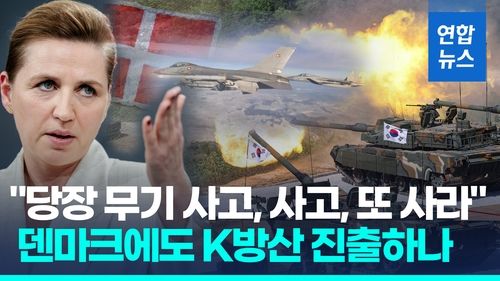 [영상] 덴마크 "무기 사들여라, 무조건 빨리"…한국 방산에 기회되나 - 2