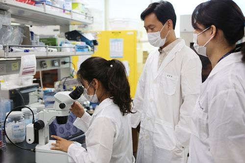 한의학연구원 연구팀 