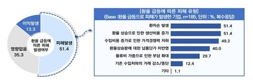 환율 급등에 따른 피해 