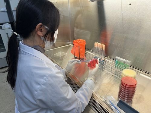 식품 미생물 실험