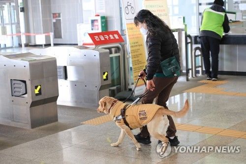 "개찰구 찾았멍!"