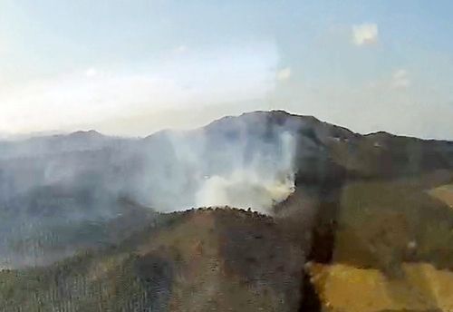 전남 장흥군 야산 산불