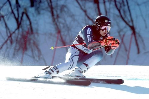 제106회 동계체전 MVP에 오른 스키 4관왕 정동현