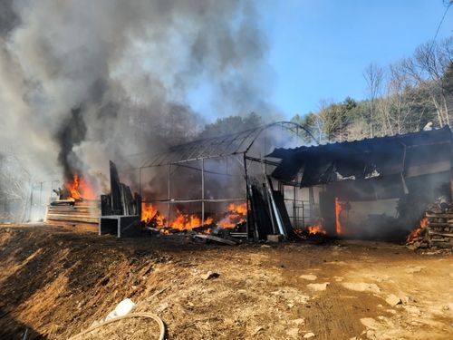 포천 비닐하우스 화재