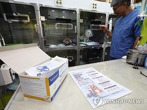 '반려견 등록, 선택 아닌 필수입니다'