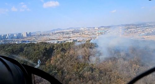고양 야산 산불