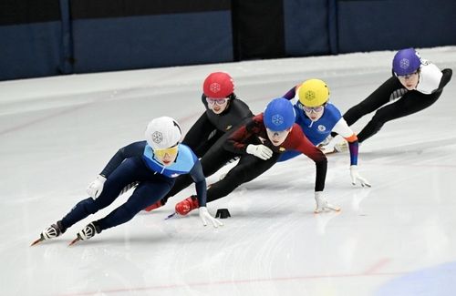 제106회 동계체전 쇼트트랙 경기 장면